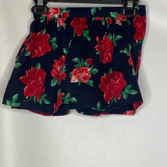 Janie and Jack Other - Janie and Jack girls blue rose print skirt Sz 3